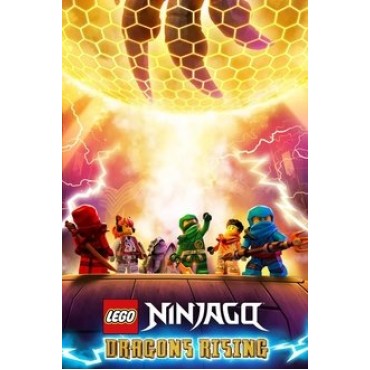 LEGO Ninjago: Dragons Rising Season 1-4 DVD Box Set