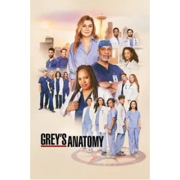 Grey's Anatomy Season 1-21 DVD Box Set