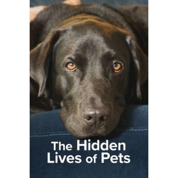 The Secret Life of Our Pets Season 1 DVD Box Set