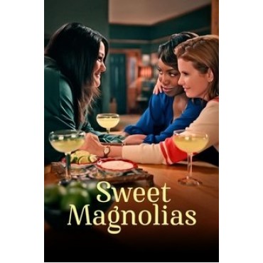 Sweet Magnolias Season 1-4 DVD Box Set