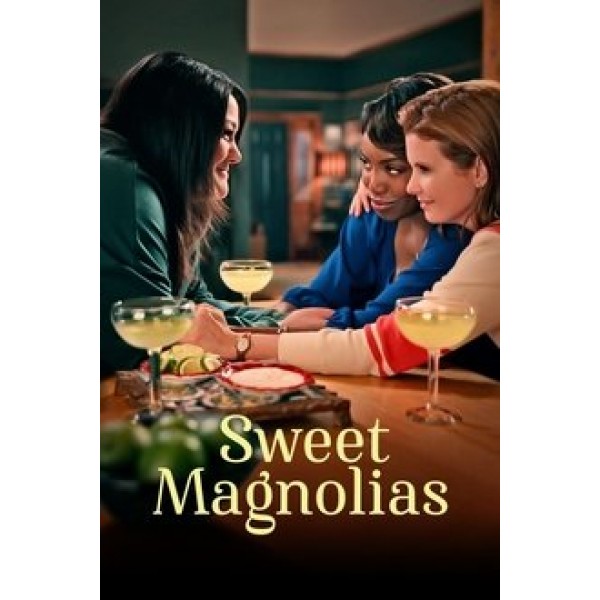 Sweet Magnolias Season 1-4 DVD Box Set