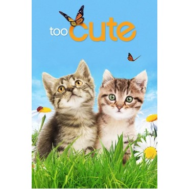 Too Cute Season 1-6 DVD Box Set