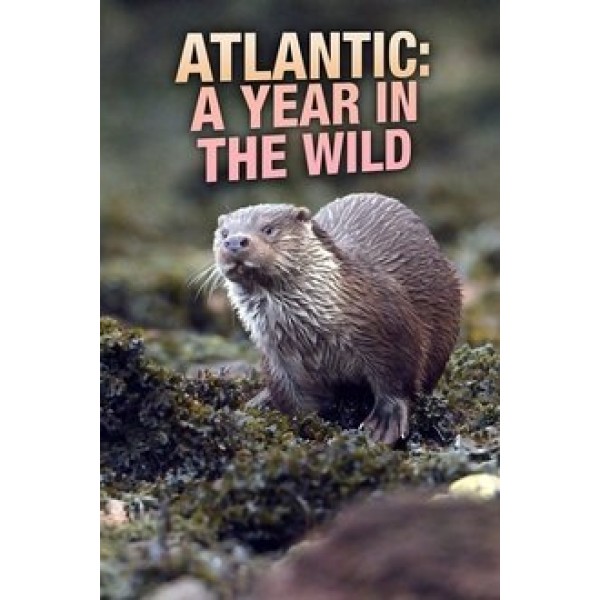 Atlantic: A Year in the Wild Season 1 DVD Box Set