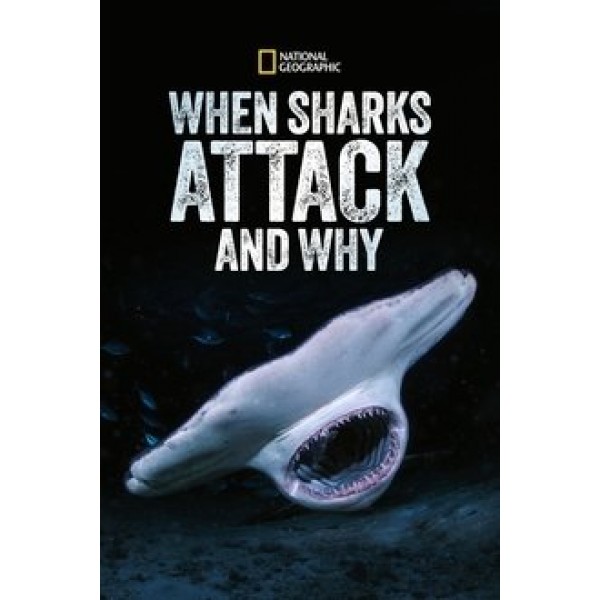 When Sharks Attack... and Why Season 1 DVD Box Set
