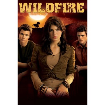 Wildfire Season 1-4 DVD Box Set