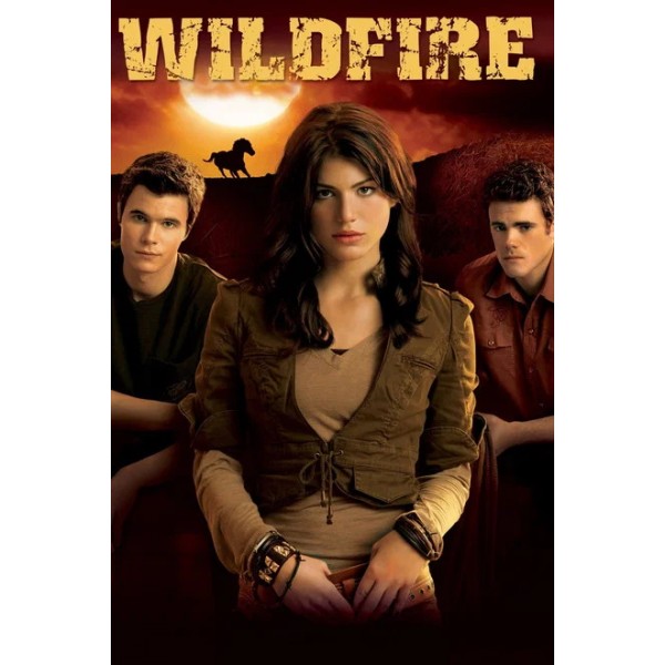 Wildfire Season 1-4 DVD Box Set
