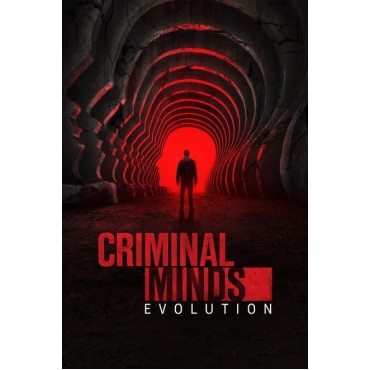 Criminal Minds Season 1-19 DVD Box Set