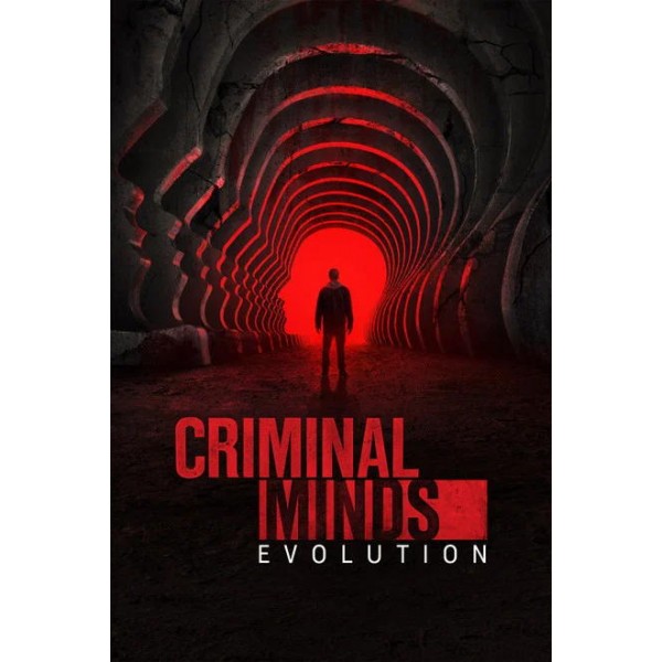 Criminal Minds Season 1-19 DVD Box Set