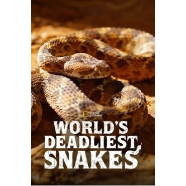 World's Deadliest Snakes Season 1 DVD Box Set