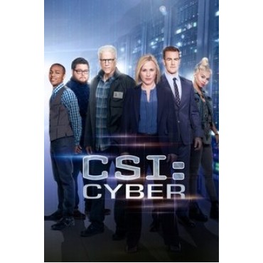 CSI: Cyber Season 1-2 DVD Box Set