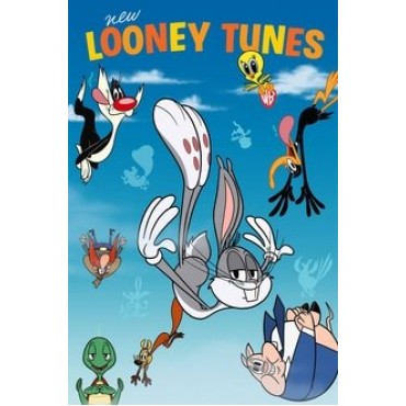 New Looney Tunes Season 1-3 DVD Box Set