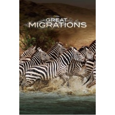 Great Migrations Season 1 DVD Box Set