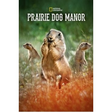 Prairie Dog Manor Season 1 DVD Box Set