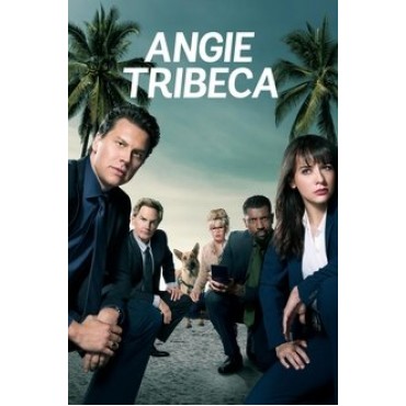 Angie Tribeca Season 1-4 DVD Box Set