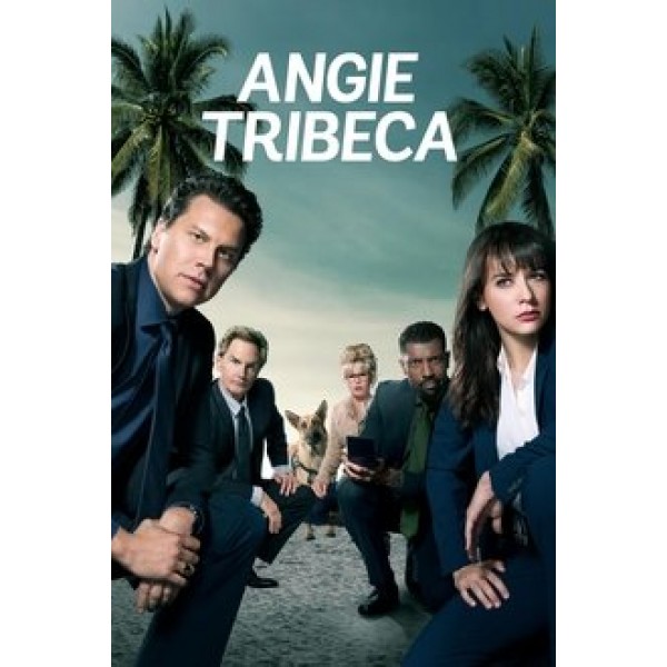 Angie Tribeca Season 1-4 DVD Box Set