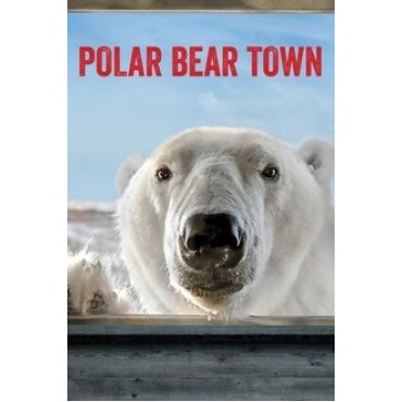 Polar Bear Town Season 1 DVD Box Set